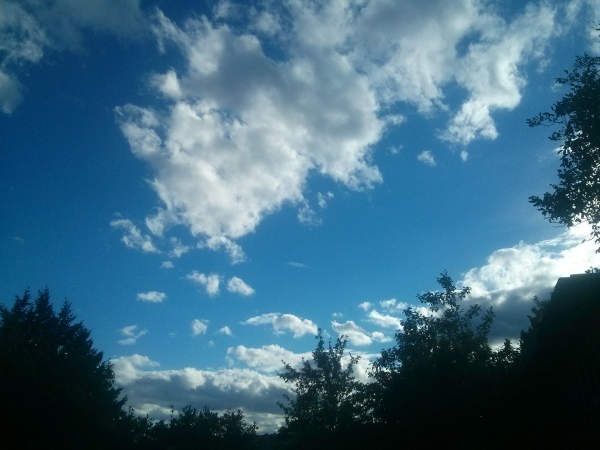Cvičení na Malině – 4.7.2017 v 18:00 + následující čtvrtky