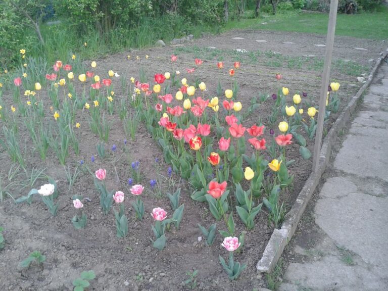 Květen 2016 na Malině
